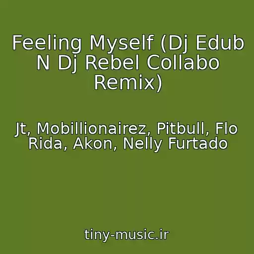 کاور آهنگ Feeling Myself (Dj Edub N Dj Rebel Collabo Remix) از Jt, Mobillionairez, Pitbull, Flo Rida, Akon, Nelly Furtado