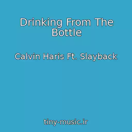 کاور آهنگ Drinking From The Bottle از Calvin Haris Ft. Slayback