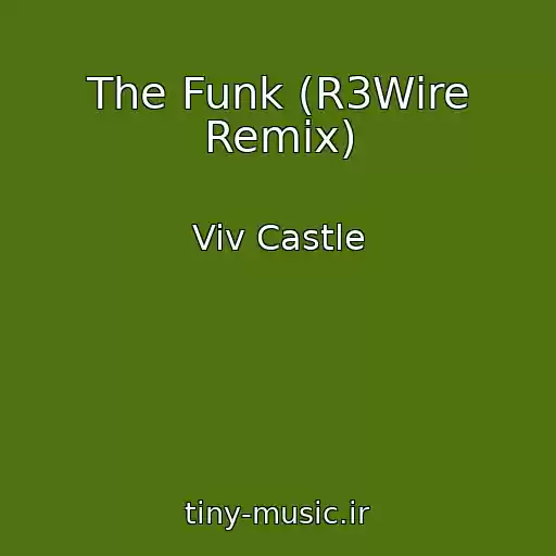 کاور آهنگ The Funk (R3Wire Remix) از Viv Castle