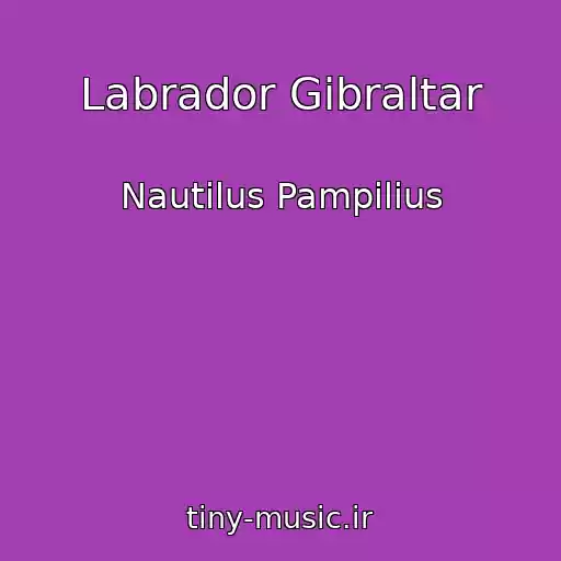 کاور آهنگ Labrador Gibraltar از Nautilus Pampilius