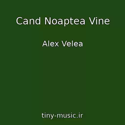 کاور آهنگ Cand Noaptea Vine از Alex Velea
