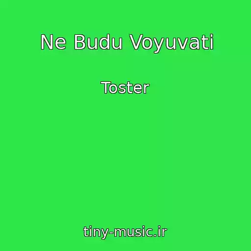 کاور آهنگ Ne Budu Voyuvati از Toster