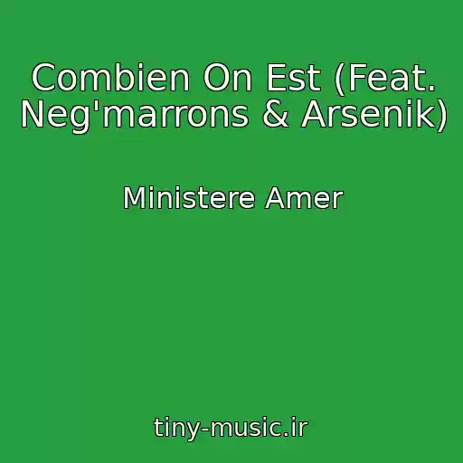 کاور آهنگ Combien On Est (Feat. Neg'marrons & Arsenik) از Ministere Amer