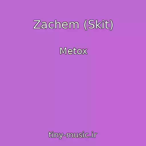 کاور آهنگ Zachem (Skit) از Metox