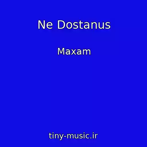 کاور آهنگ Ne Dostanus از Maxam