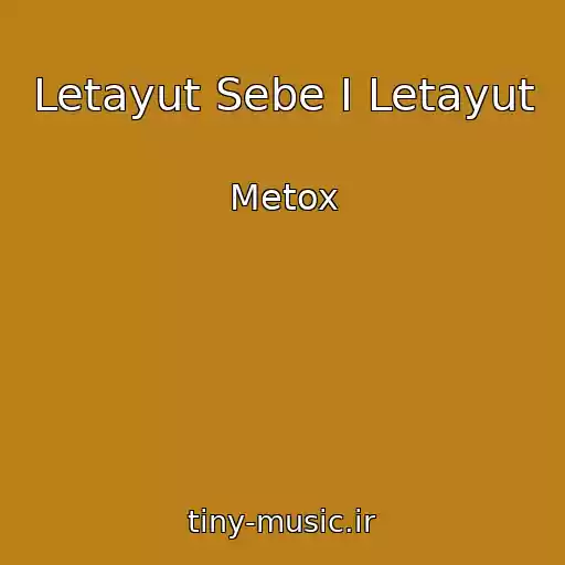 کاور آهنگ Letayut Sebe I Letayut از Metox