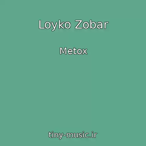 کاور آهنگ Loyko Zobar از Metox