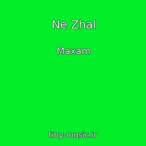 کاور آهنگ Ne Zhal از Maxam
