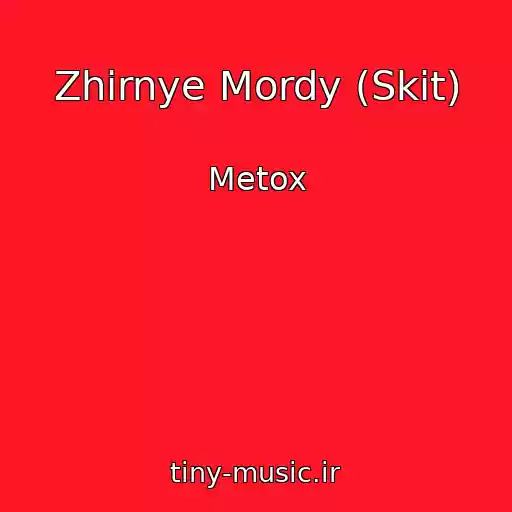 کاور آهنگ Zhirnye Mordy (Skit) از Metox