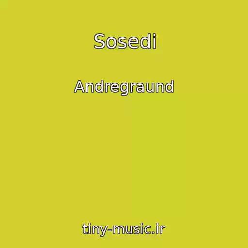 کاور آهنگ Sosedi از Andregraund