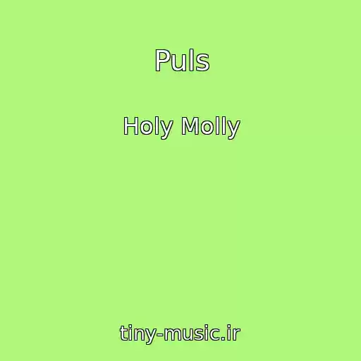 کاور آهنگ Puls از Holy Molly