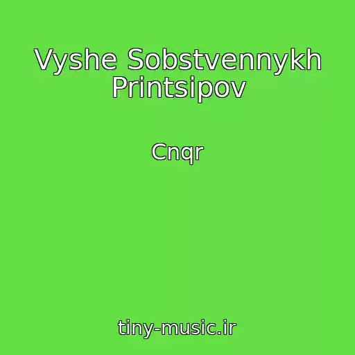 کاور آهنگ Vyshe Sobstvennykh Printsipov از Cnqr