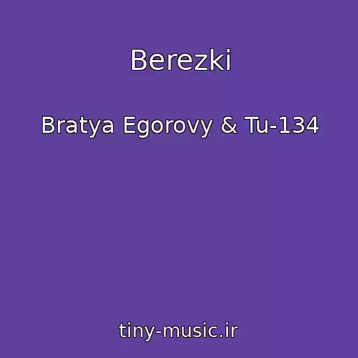 کاور آهنگ Berezki از Bratya Egorovy & Tu-134
