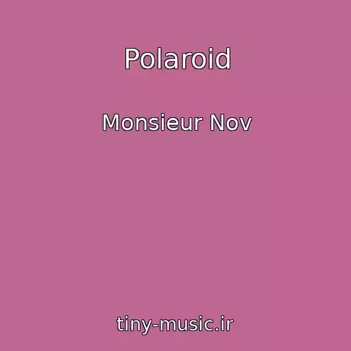 کاور آهنگ Polaroid از Monsieur Nov