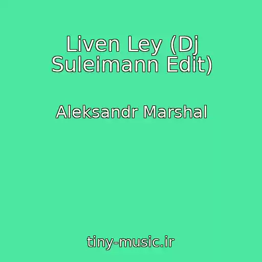 کاور آهنگ Liven Ley (Dj Suleimann Edit) از Aleksandr Marshal