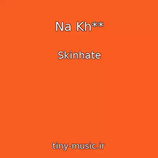 کاور آهنگ Na Kh** از Skinhate