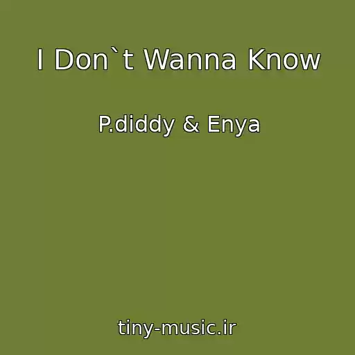 کاور آهنگ I Don`t Wanna Know از P.diddy & Enya