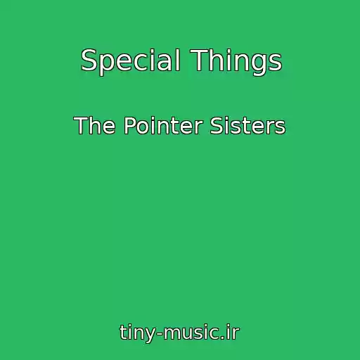 کاور آهنگ Special Things از The Pointer Sisters