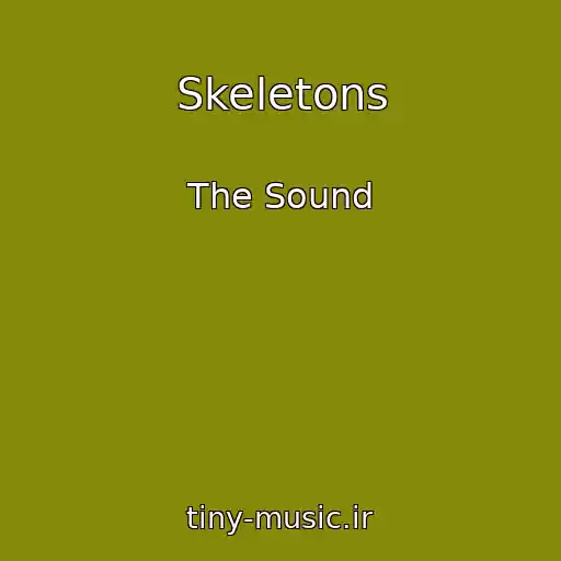 کاور آهنگ Skeletons از The Sound