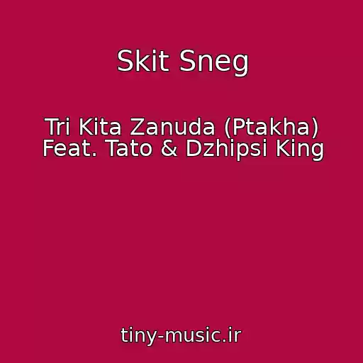 کاور آهنگ Skit Sneg از Tri Kita Zanuda (Ptakha) Feat. Tato & Dzhipsi King