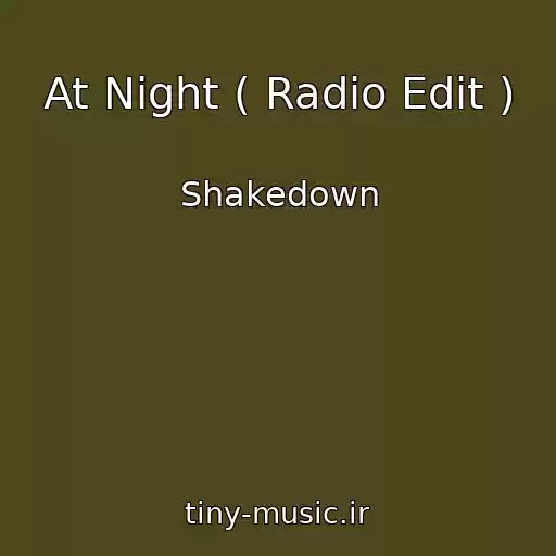کاور آهنگ At Night ( Radio Edit ) از Shakedown