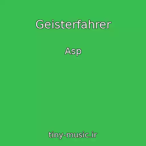 کاور آهنگ Geisterfahrer از Asp