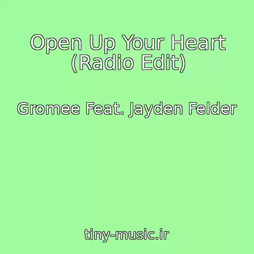 کاور آهنگ Open Up Your Heart (Radio Edit) از Gromee Feat. Jayden Felder