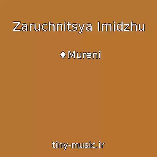 کاور آهنگ Zaruchnitsya Imidzhu از ♦Mureni