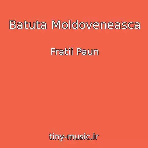 کاور آهنگ Batuta Moldoveneasca از Fratii Paun