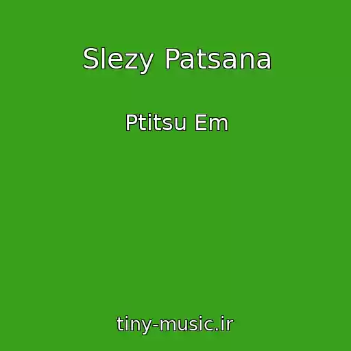 کاور آهنگ Slezy Patsana از Ptitsu Em
