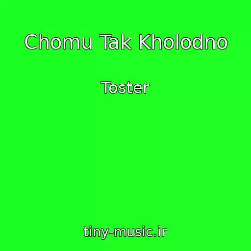 کاور آهنگ Chomu Tak Kholodno از Toster