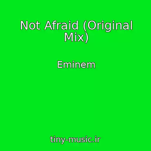 کاور آهنگ Not Afraid (Original Mix) از Eminem