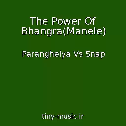 کاور آهنگ The Power Of Bhangra(Manele) از Paranghelya Vs Snap