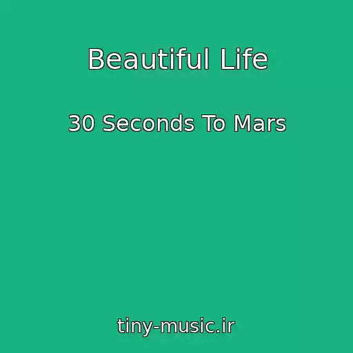 کاور آهنگ Beautiful Life از 30 Seconds To Mars