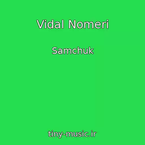 کاور آهنگ Vidal Nomeri از Samchuk