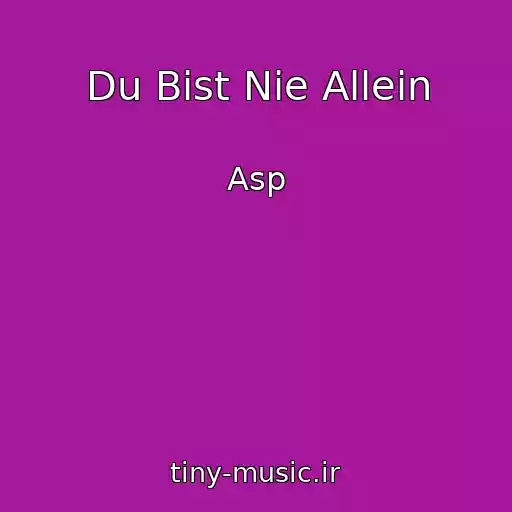 کاور آهنگ Du Bist Nie Allein از Asp