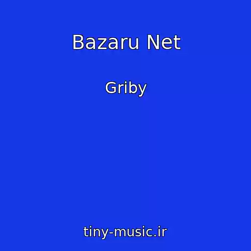 کاور آهنگ Bazaru Net از Griby