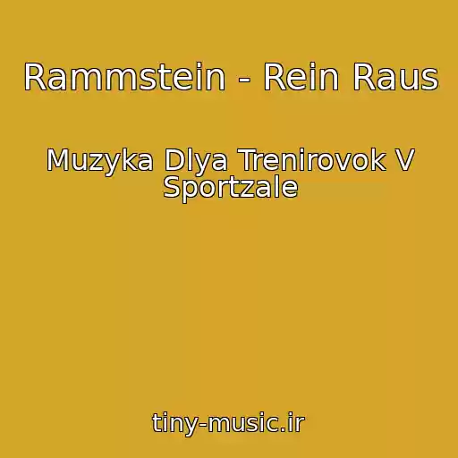 کاور آهنگ Rammstein - Rein Raus از Muzyka Dlya Trenirovok V Sportzale