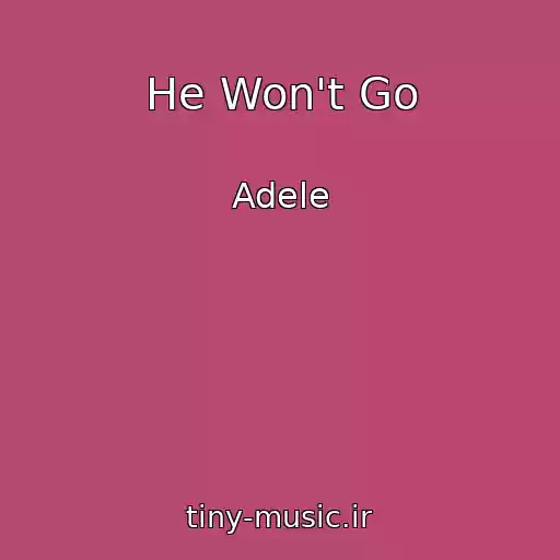 کاور آهنگ He Won't Go از Adele