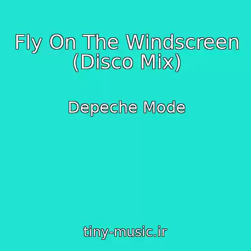 کاور آهنگ Fly On The Windscreen (Disco Mix) از Depeche Mode