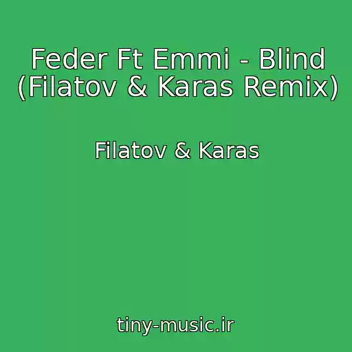 کاور آهنگ Feder Ft Emmi - Blind (Filatov & Karas Remix) از Filatov & Karas