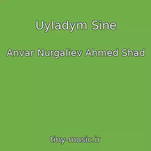 کاور آهنگ Uyladym Sine از Anvar Nurgaliev Ahmed Shad