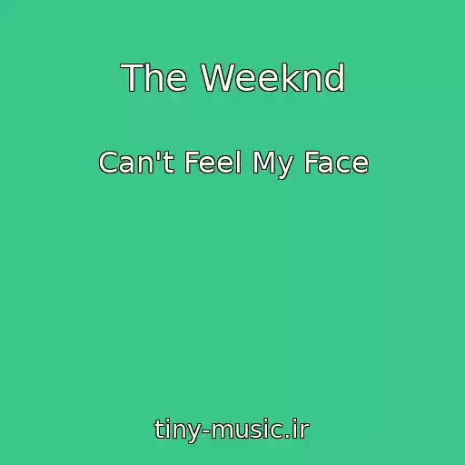 کاور آهنگ The Weeknd از Can't Feel My Face