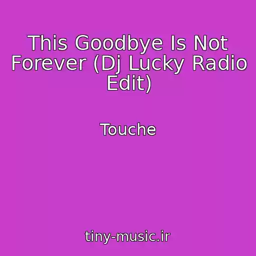 کاور آهنگ This Goodbye Is Not Forever (Dj Lucky Radio Edit) از Touche