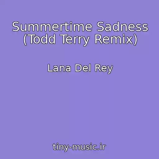 کاور آهنگ Summertime Sadness (Todd Terry Remix) از Lana Del Rey
