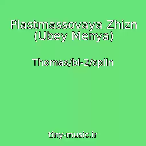کاور آهنگ Plastmassovaya Zhizn (Ubey Menya) از Thomas/bi-2/splin