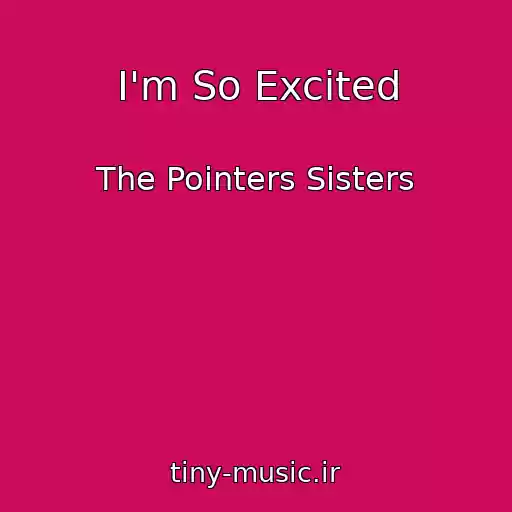 کاور آهنگ I'm So Excited از The Pointers Sisters