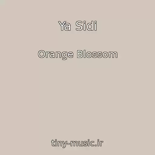 کاور آهنگ Ya Sidi از Orange Blossom