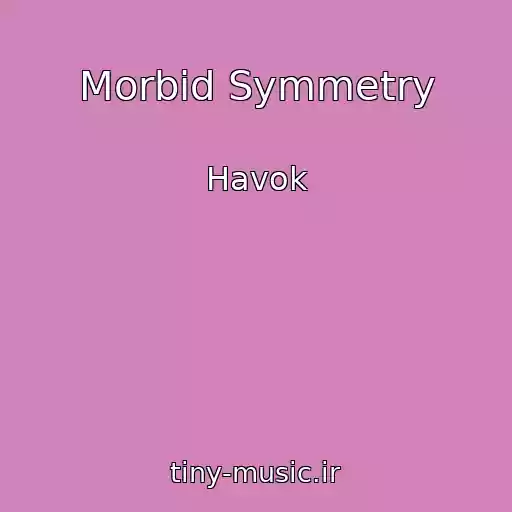 کاور آهنگ Morbid Symmetry از Havok