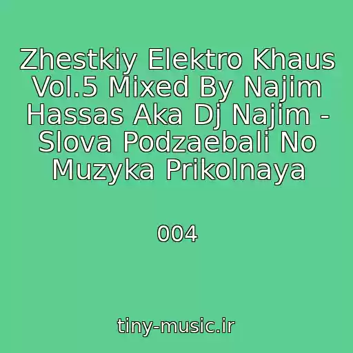 کاور آهنگ Zhestkiy Elektro Khaus Vol.5 Mixed By Najim Hassas Aka Dj Najim - Slova Podzaebali No Muzyka Prikolnaya از 004